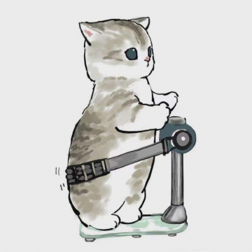 唯美插画猫咪减肥图片