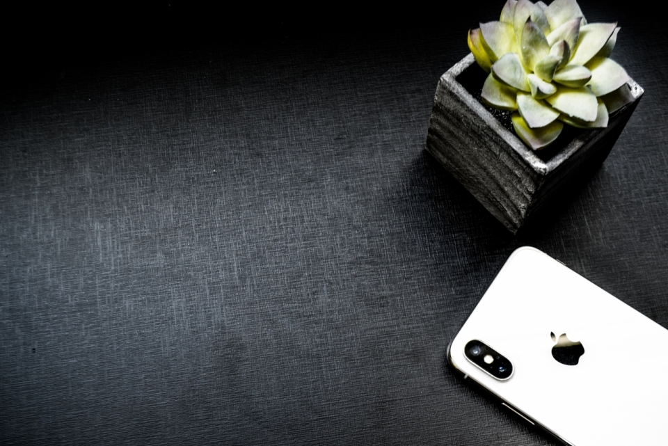 黑色桌面绿色多肉植物银色iPhone手机