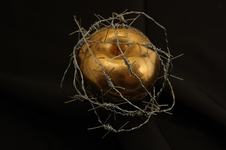 黑色背景下被铁丝网缠绕的金色苹果