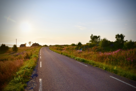 乡间小路草地绿植阳光风景