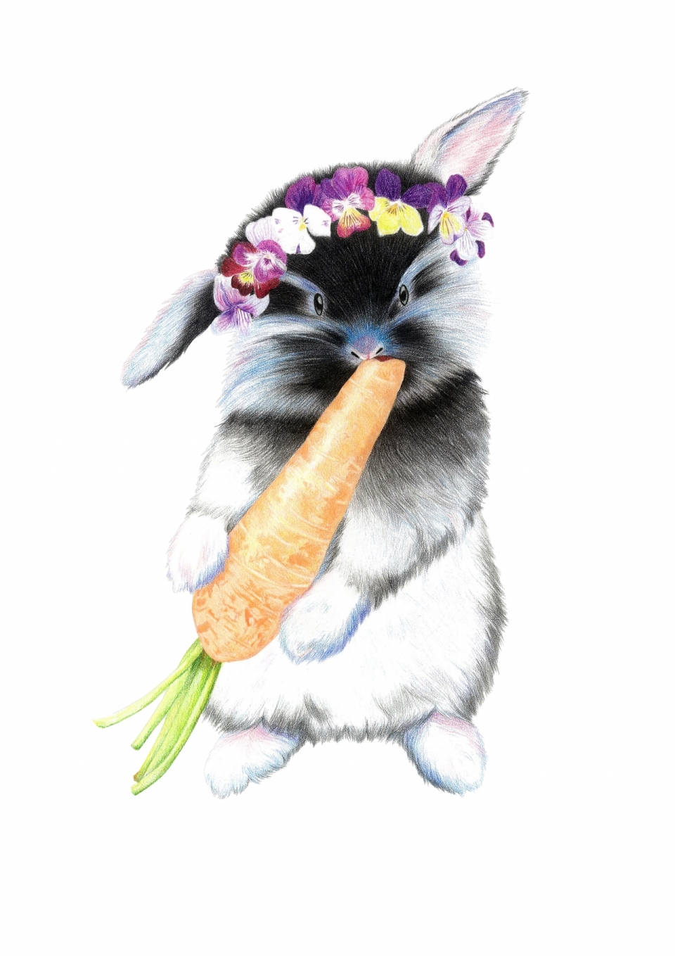 戴着花冠啃胡萝卜的小兔手绘