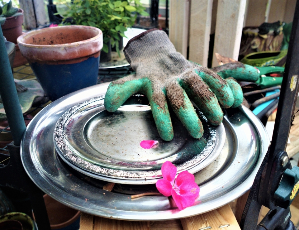 花园木制桌面上金属花盘破旧园艺手套
