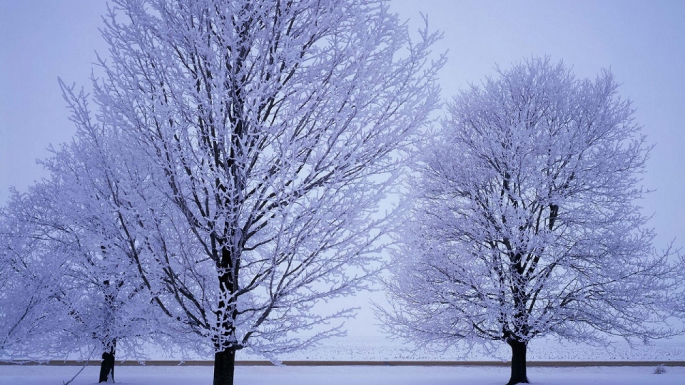 唯美冬季雪景高清桌面壁纸