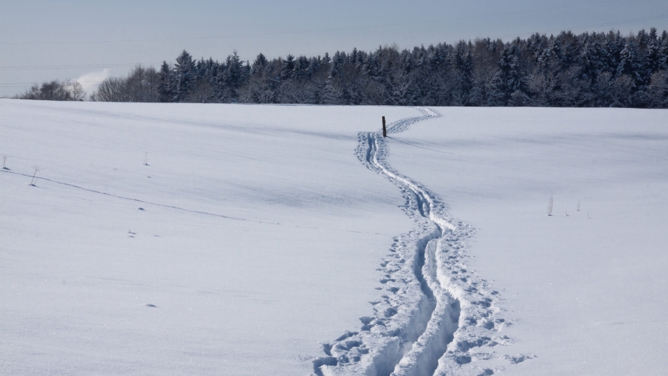 野外滑雪场自然风光优美风景秀丽高清桌面壁纸