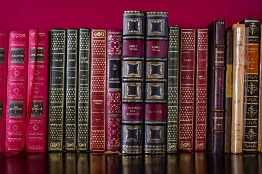 古色古香书架摆放精装书本