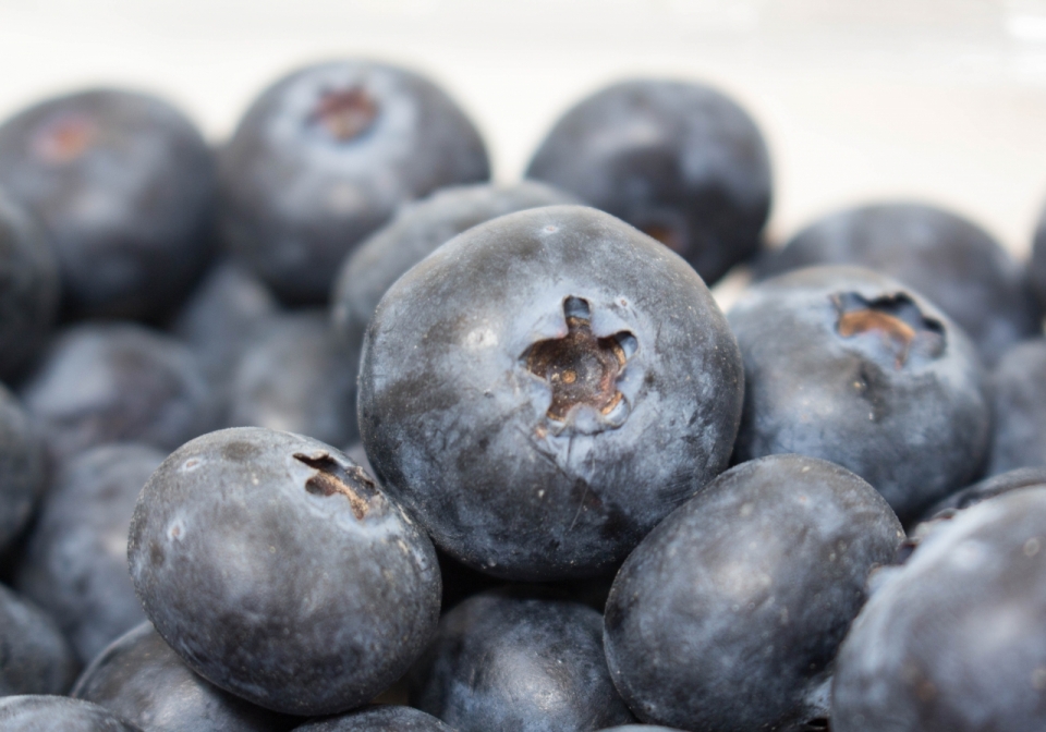 白色背景新鲜健康美味蓝莓水果