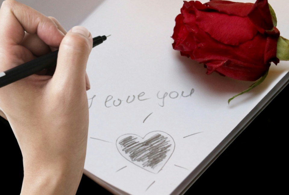 浪漫红色花朵玫瑰植物边文艺笔记本书写