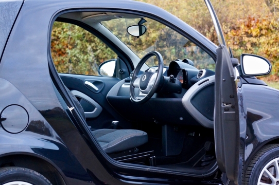 乡村植物边黑色轿车内部