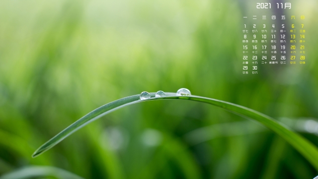 2021年11月清新护眼日历壁纸