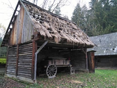 绿色树林环绕的破旧茅草木屋