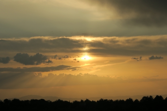 夕阳笼罩天空朦胧云彩树林漆黑剪影