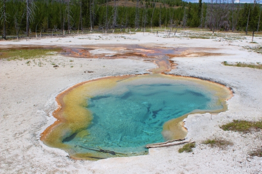 白色沙地围绕清澈池塘水泊外景