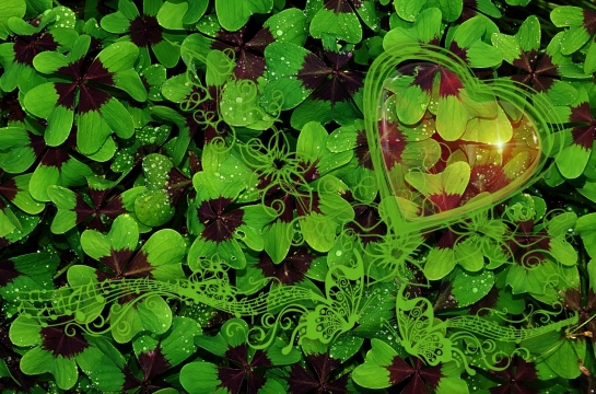 别样的世界唯美创意爱心小草