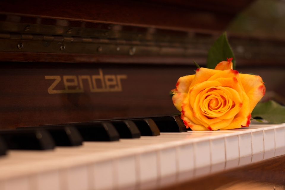 豪华钢琴上摆放鲜艳花朵摆拍