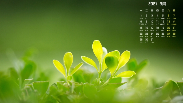 2021年3月清新绿色护眼高清日历壁纸