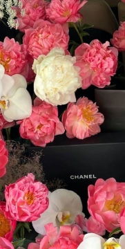 清新唯美手机壁纸