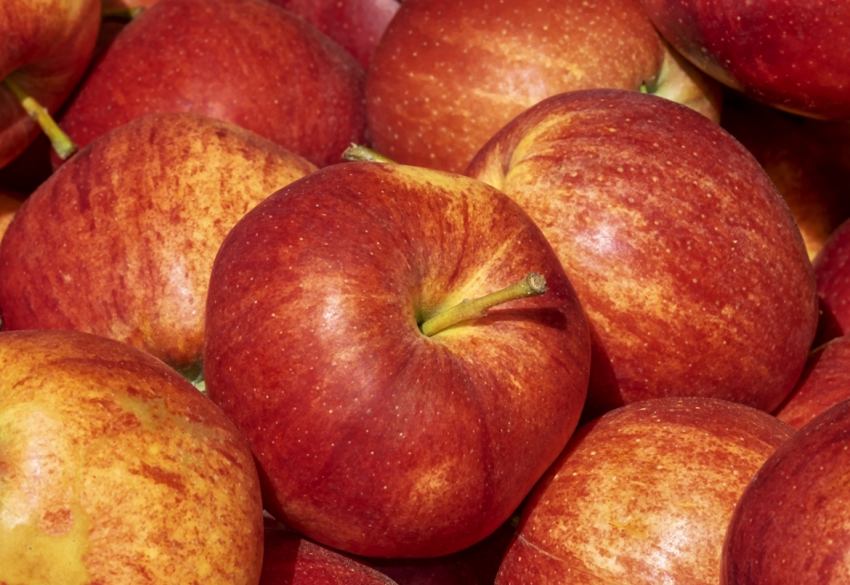 户外桌面阳光下新鲜健康红色美味苹果