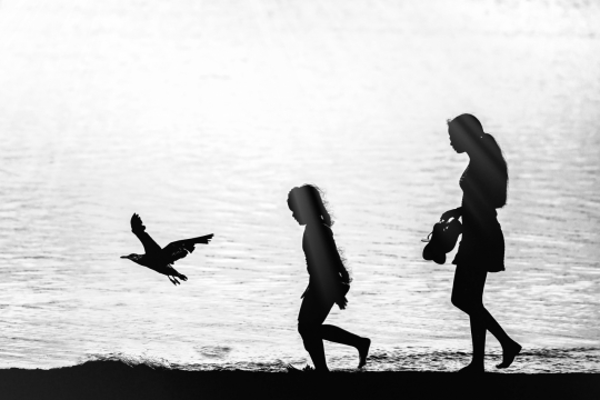 海边沙滩行走海鸥女性人影