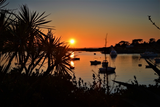 夕阳日落树丛湖泊和船只的美丽风景摄影