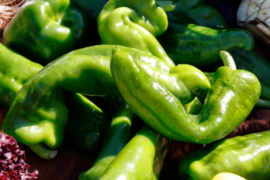 阳光户外地面上绿色新鲜健康青椒