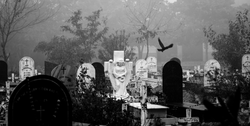 黑白阴森树林墓园乌鸦飞过墓碑