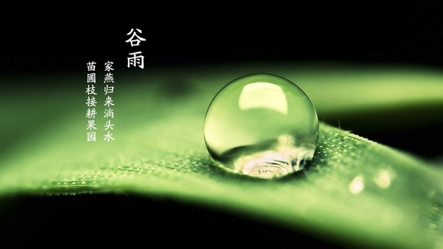 二十四节气之谷雨桌面高清壁纸