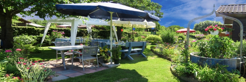乡村房屋别墅庭院绿植桌椅景观