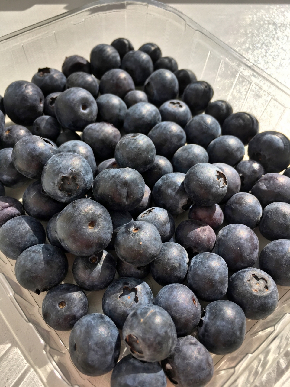 微距摄影_桌面上新鲜采摘蓝莓静物摆拍