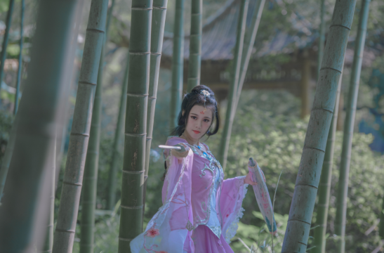 美女摄影_古装美女竹林高清美图