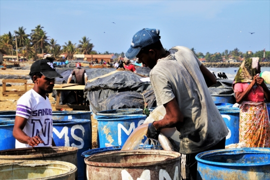阳光下辛苦工作人物写实外景
