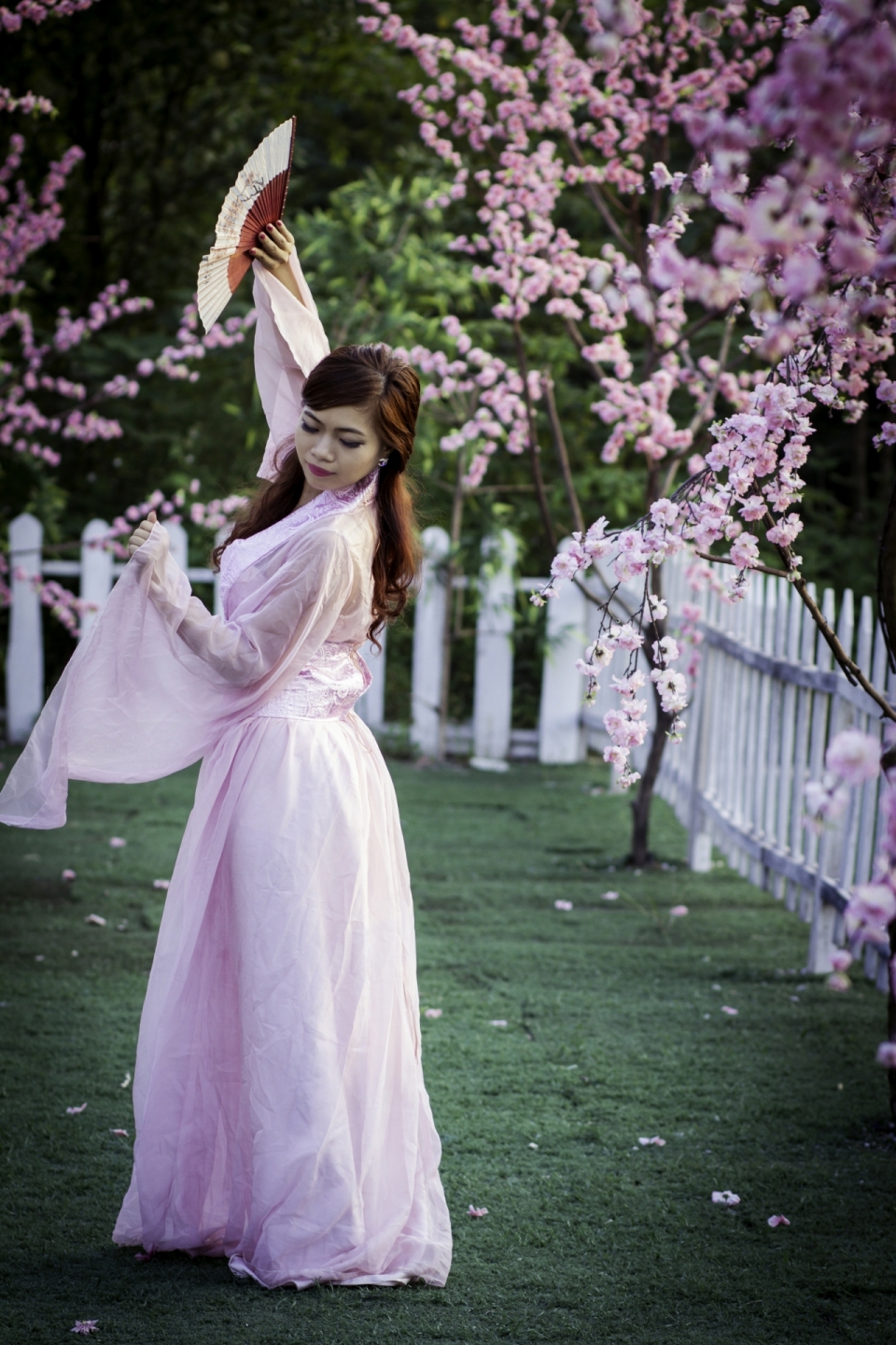 穿着粉色古装女子在樱花树边舞蹈