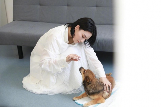 性感美女明星张馨予和狗优雅写真