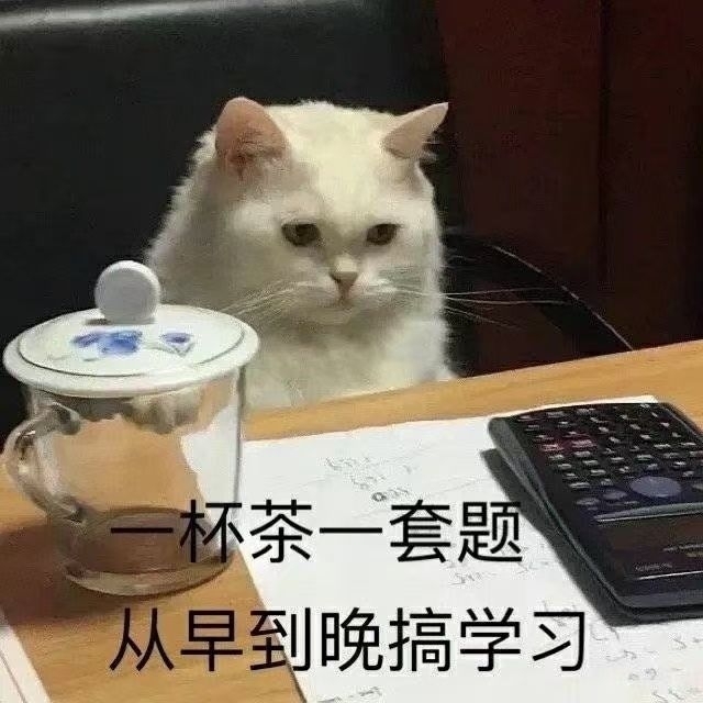 火猫三丈沙雕表情包图片