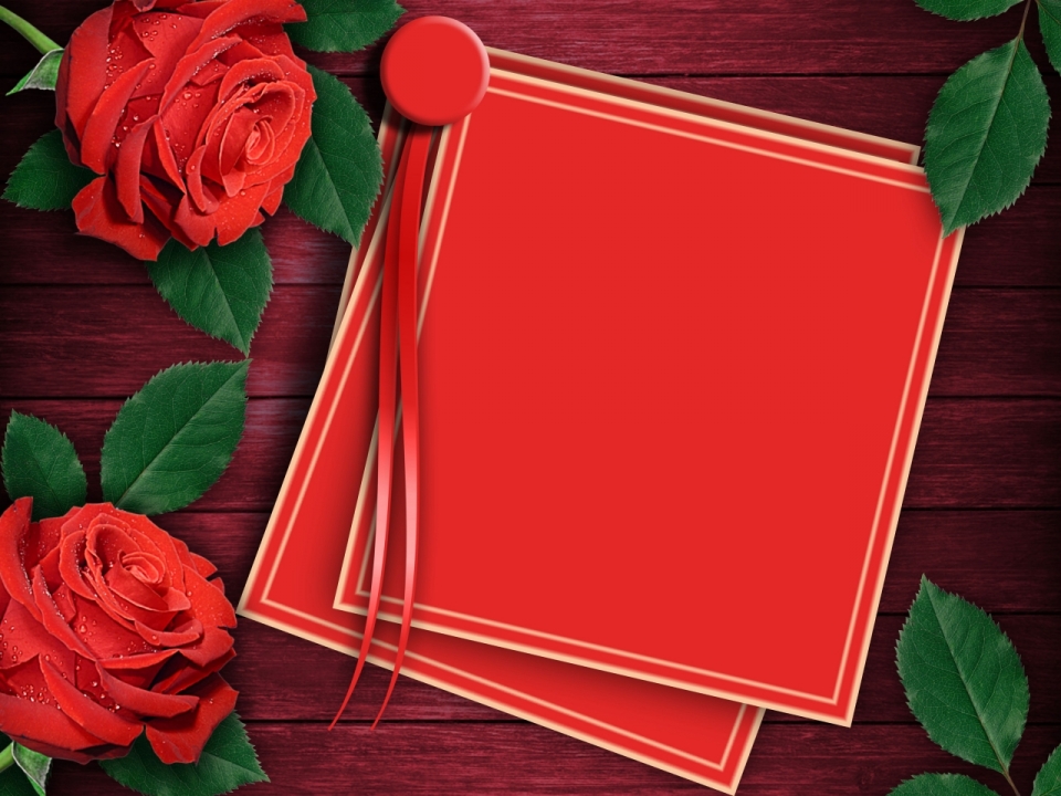 木制桌面红色玫瑰植物浪漫壁纸