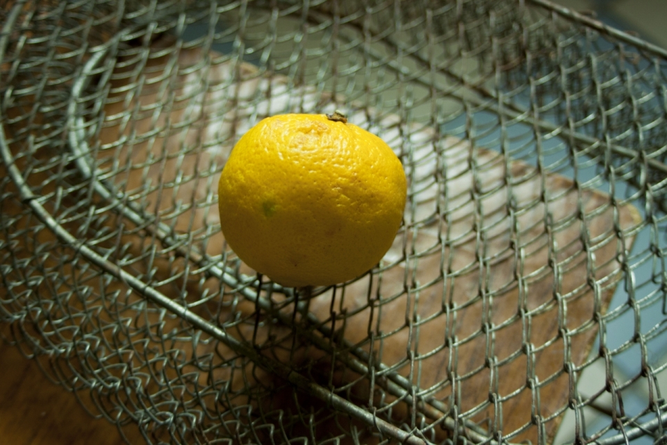 微距摄影_铁丝网上的柠檬
