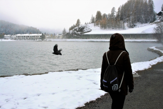 冬天雪后城市街道湖泊边背包行人