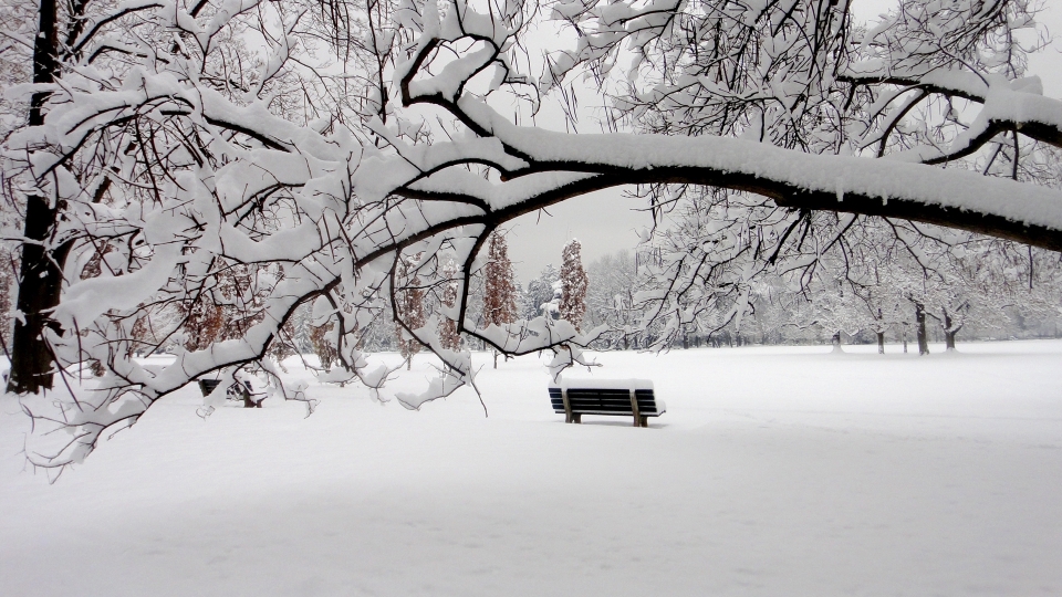 冬天的雪景高清桌面壁纸