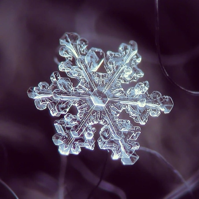 微镜头下的雪花图片