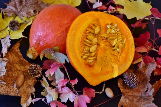 黑色背景前的各种树叶和南瓜