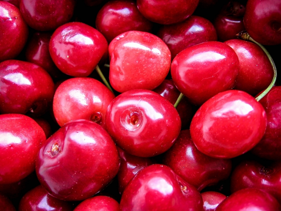 新鲜可口的红色樱桃水果特写