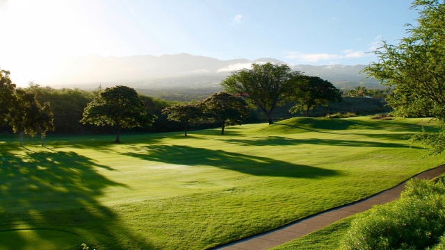 唯美清新绿色护眼高清桌面壁纸