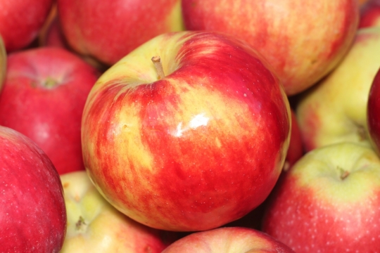 微距摄影_堆放的红苹果特写