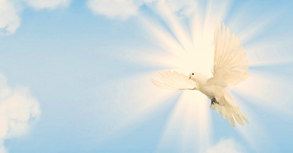 在蓝天白云中飞翔的白色鸽子发出光芒