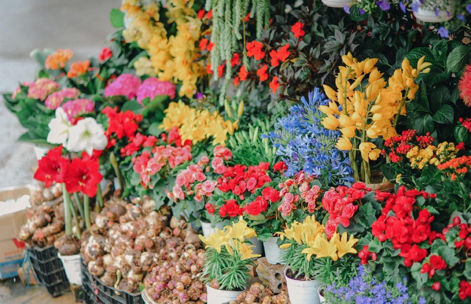 花店鲜花唯美高清桌面壁纸