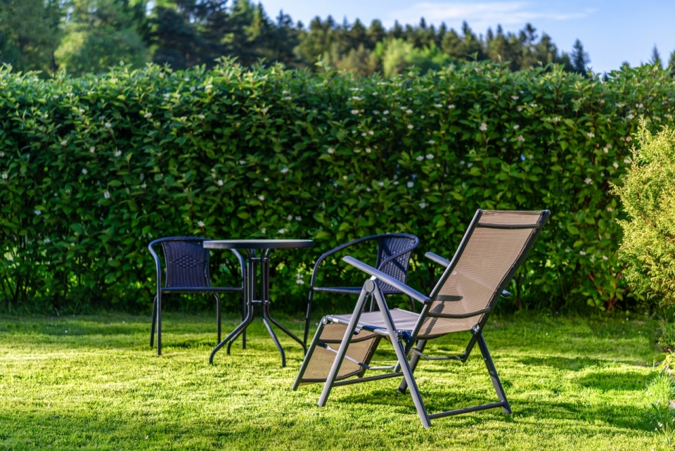 阳光户外自然花园绿色植物间休息桌椅