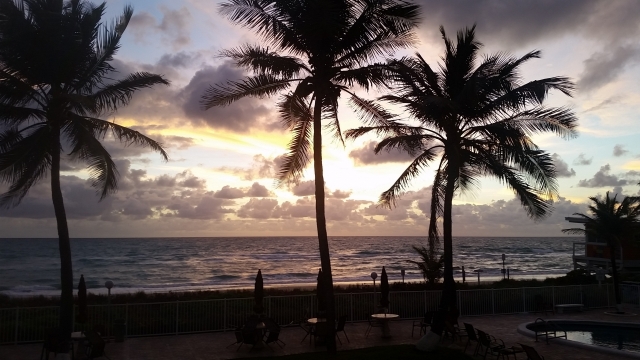 热带城市沿海天空绿植风光外景