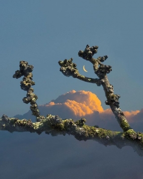 唯美清新可爱云朵图片