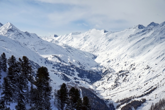 白云密布天空雪山树林高清特写