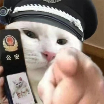 小猫咪警察搞笑表情包图片