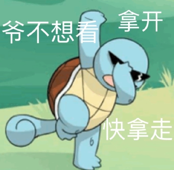 唯美搞笑杰尼龟表情包图片